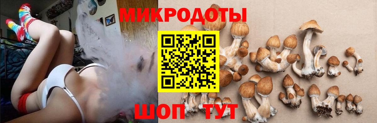 Галлюциногенные грибы мухоморы  Вход с VPN  Надым  Галлюциногенные грибы мухоморы 